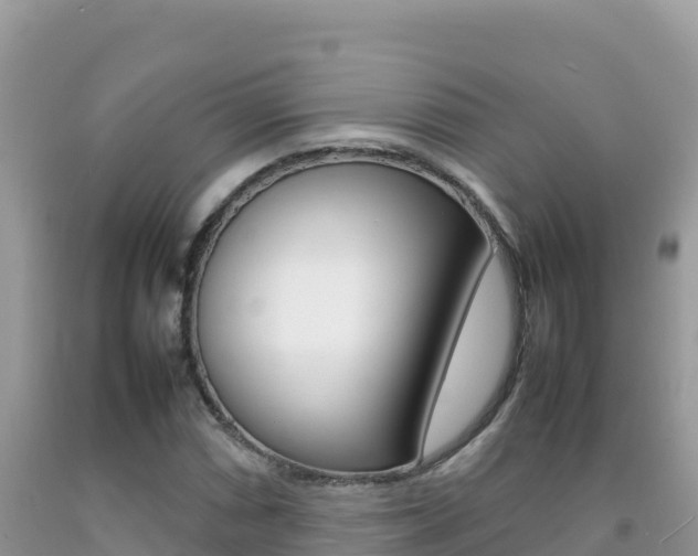 X0000092231066200709140937