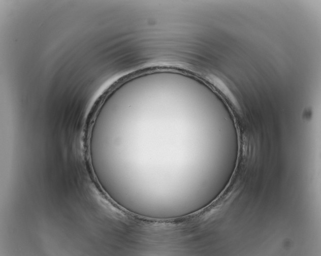 X0000092231068200709140937