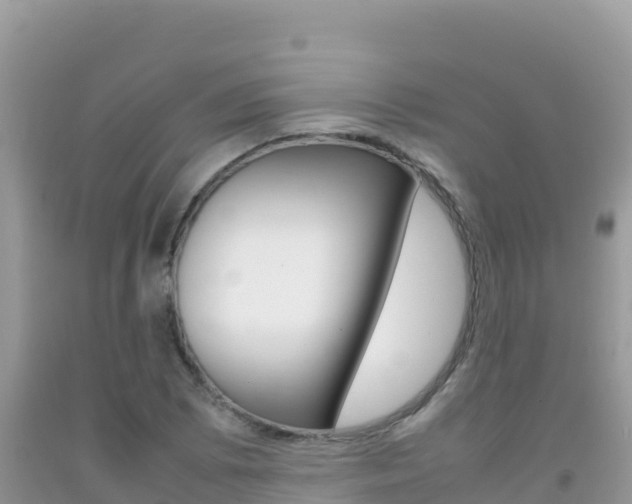 X0000092231073200709140937