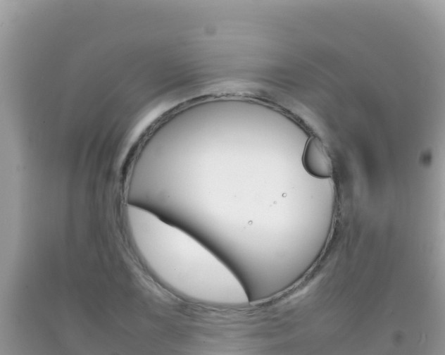 X0000092231075200709140937