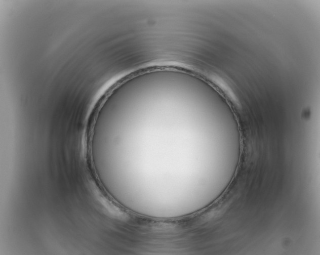 X0000092231076200709140937