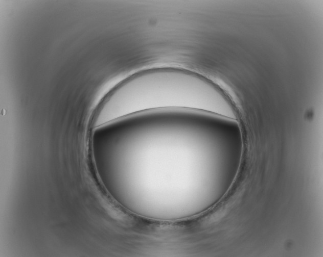 X0000092231077200709140937
