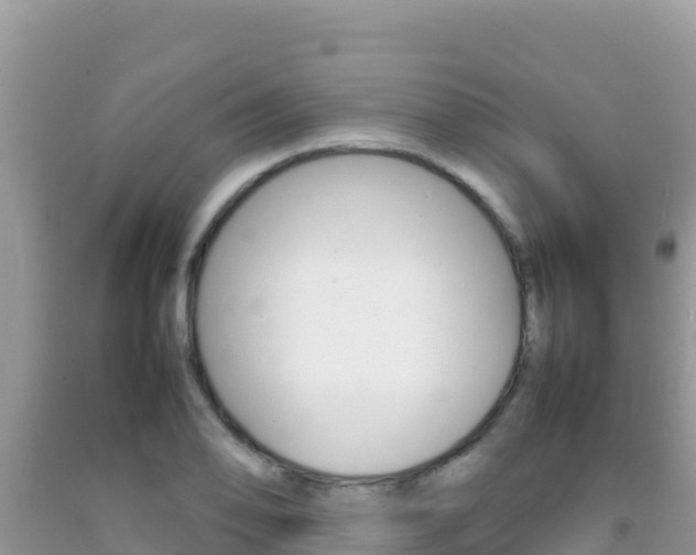 X0000092231078200709140937