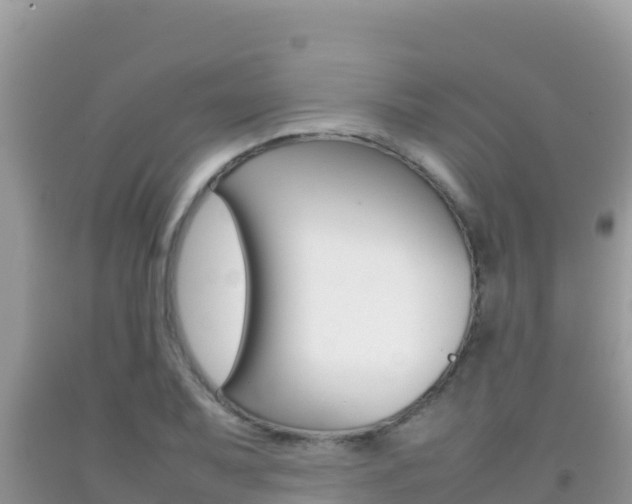 X0000092231079200709140937