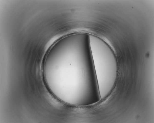 X0000092231082200709140937