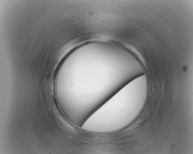 X0000092231083200709140937