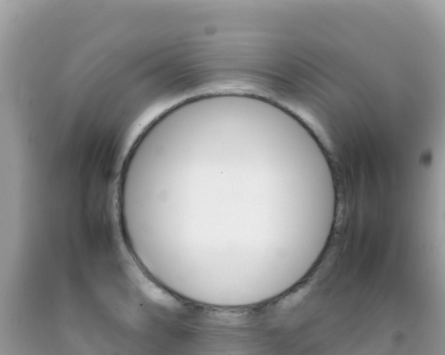 X0000092231086200709140937