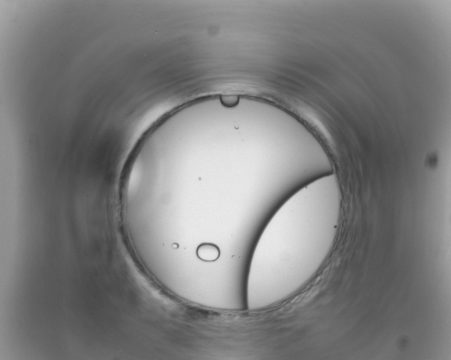 X0000092231087200709140937