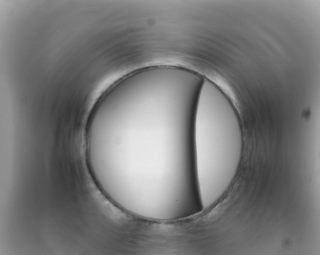 X0000092231088200709140937