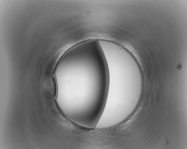 X0000092231089200709140937