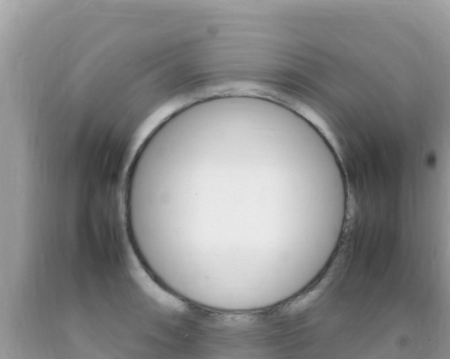 X0000092231090200709140937