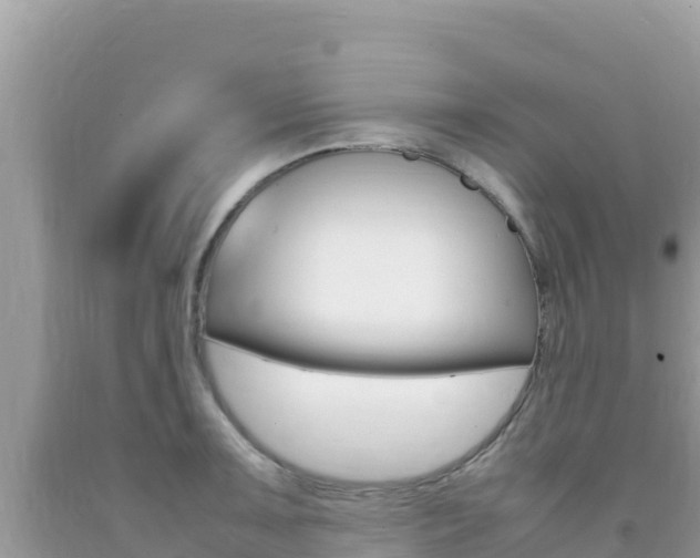 X0000092231091200709140937