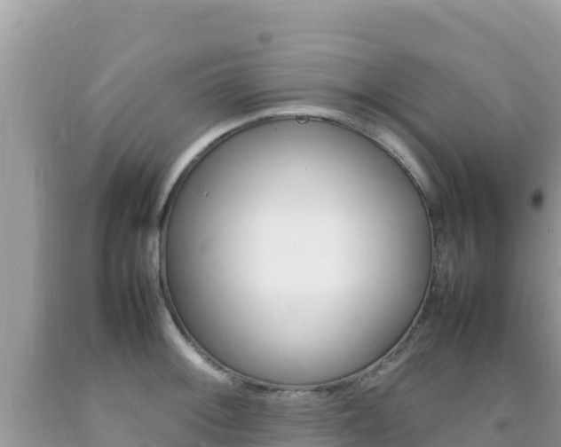 X0000092231092200709140937