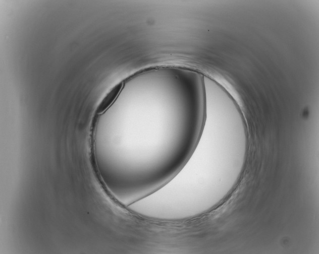 X0000092231093200709140937