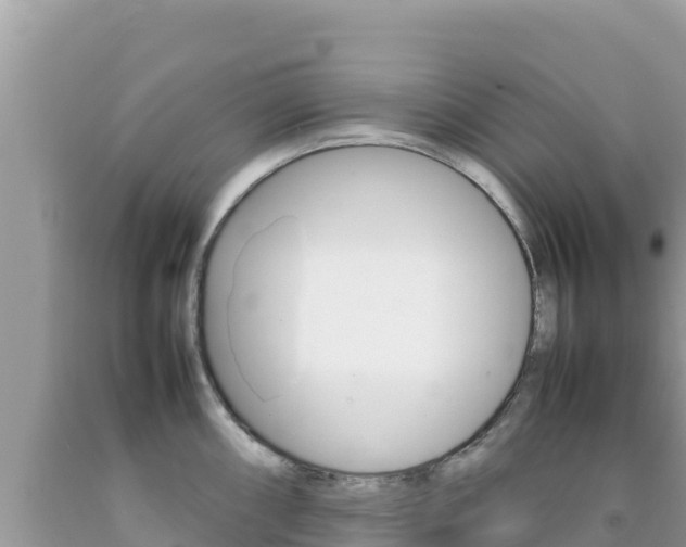 X0000092231098200709140937