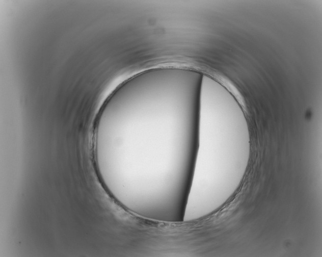 X0000092231099200709140937
