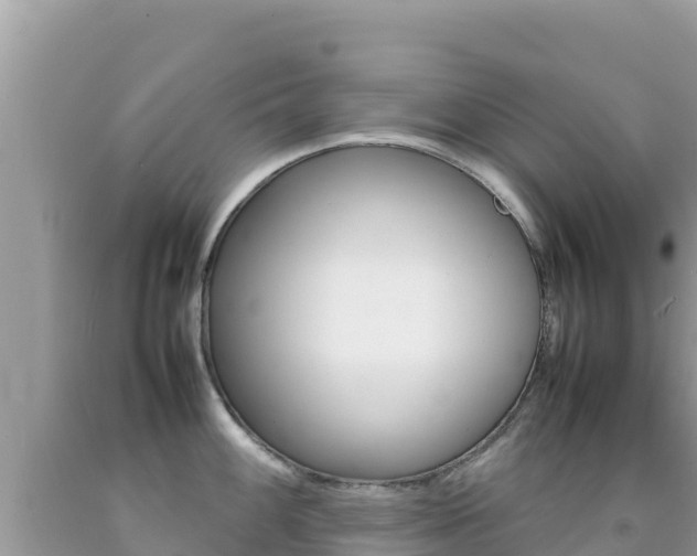 X0000092231100200709140937