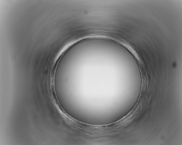 X0000092231101200709140937