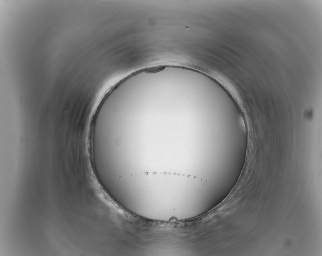 X0000092231104200709140937