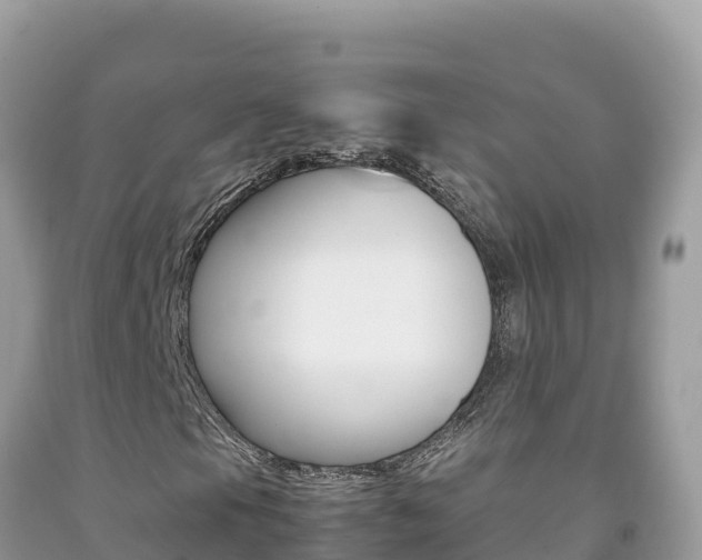 X0000092231105200709140936