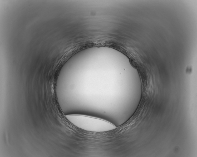 X0000092231106200709140936