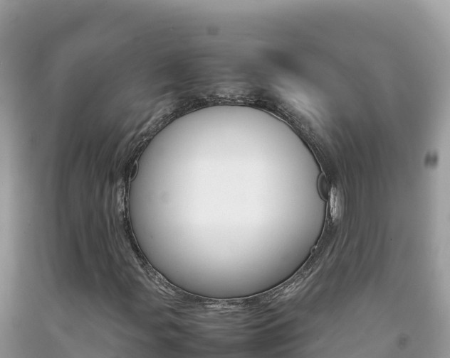 X0000092231107200709140936