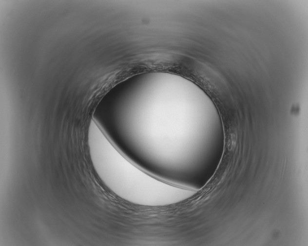 X0000092231108200709140936