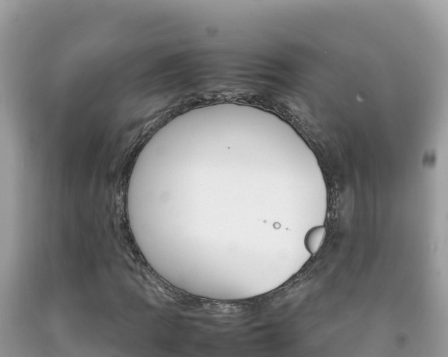 X0000092231109200709140936