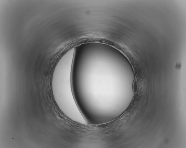 X0000092231110200709140936