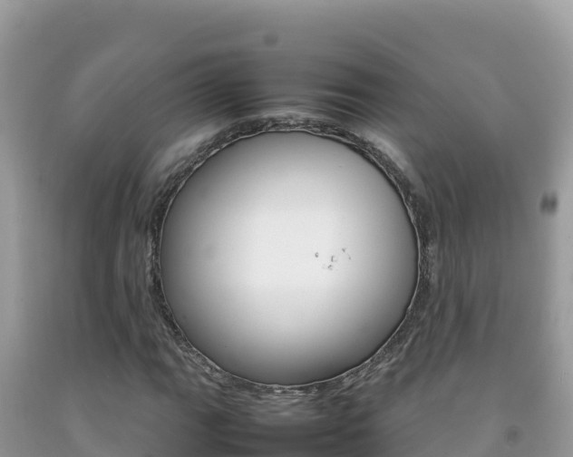 X0000092231111200709140936