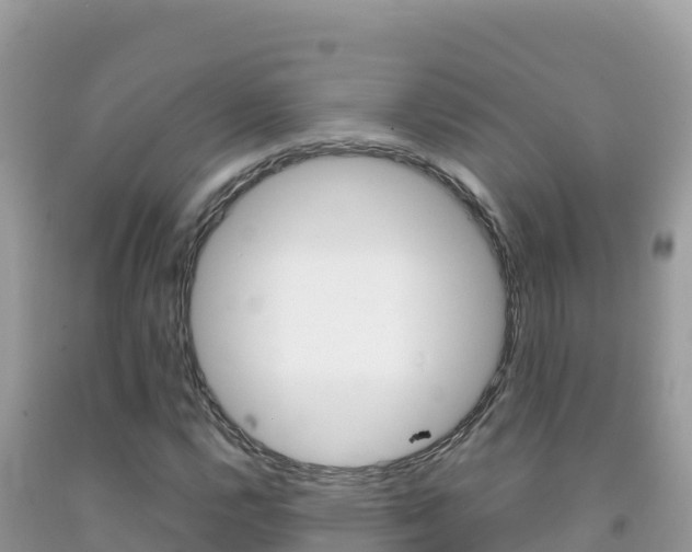 X0000092231112200709140936