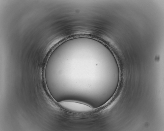 X0000092231113200709140936