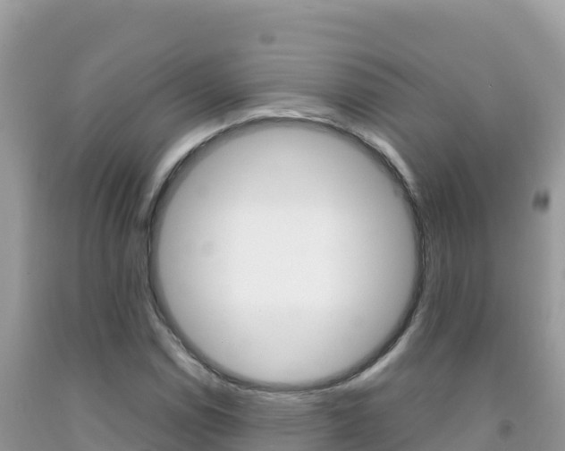 X0000092231114200709140936