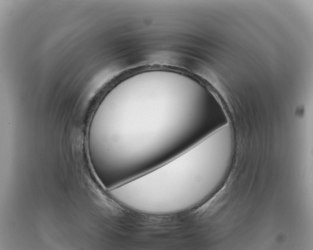 X0000092231115200709140936