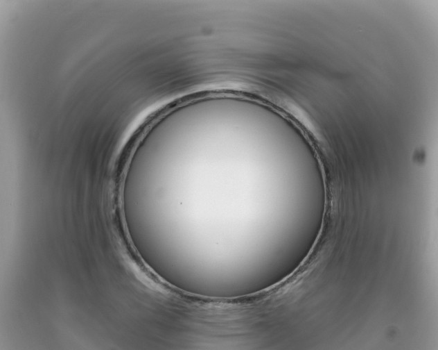 X0000092231116200709140936