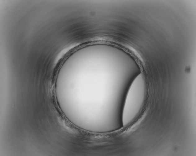 X0000092231117200709140936