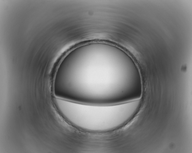 X0000092231118200709140936