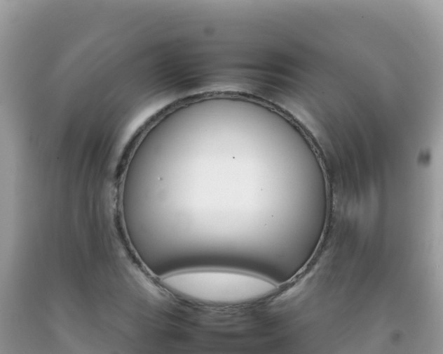 X0000092231119200709140936