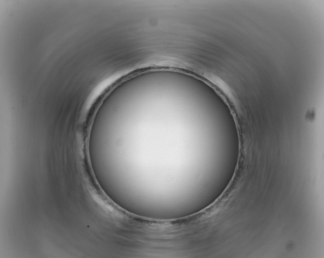 X0000092231120200709140936