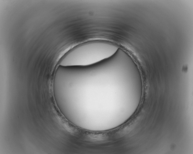 X0000092231121200709140936