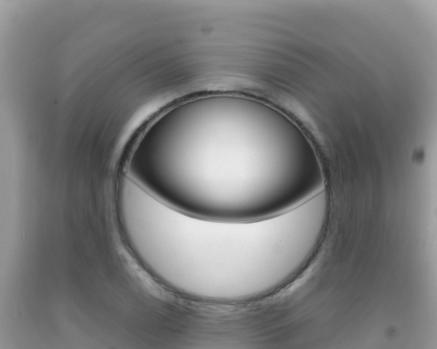 X0000092231122200709140936