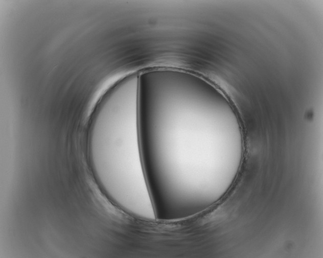 X0000092231123200709140936