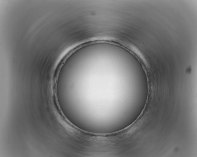 X0000092231124200709140936