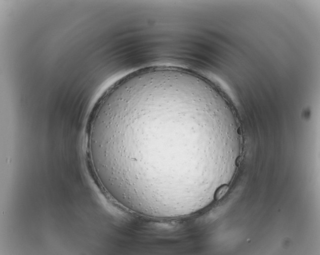 X0000092231125200709140936