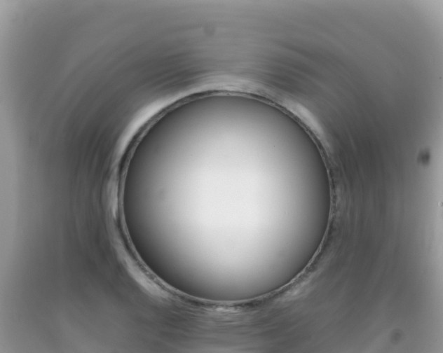 X0000092231128200709140936