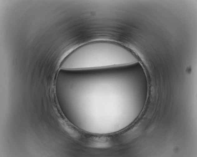 X0000092231129200709140936