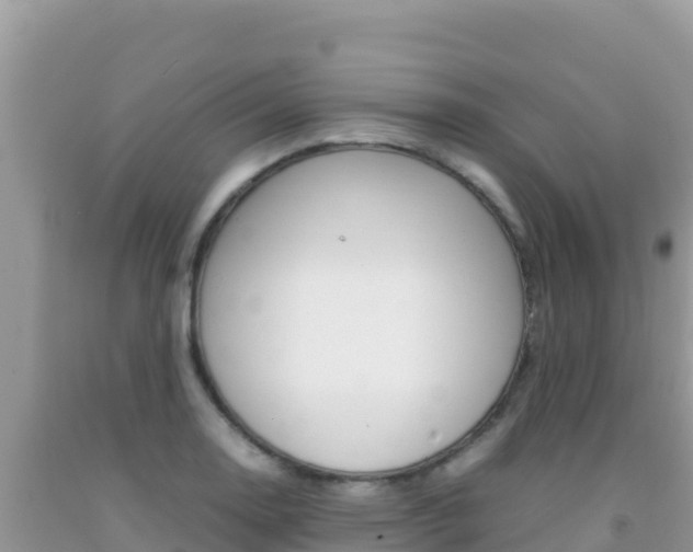 X0000092231130200709140936