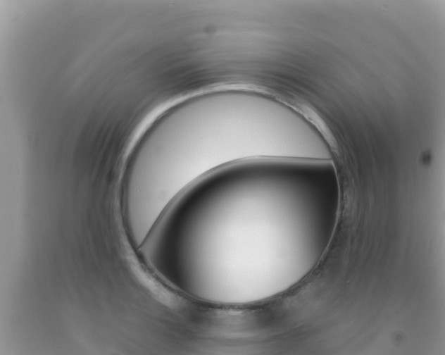X0000092231132200709140936