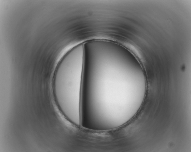 X0000092231133200709140936