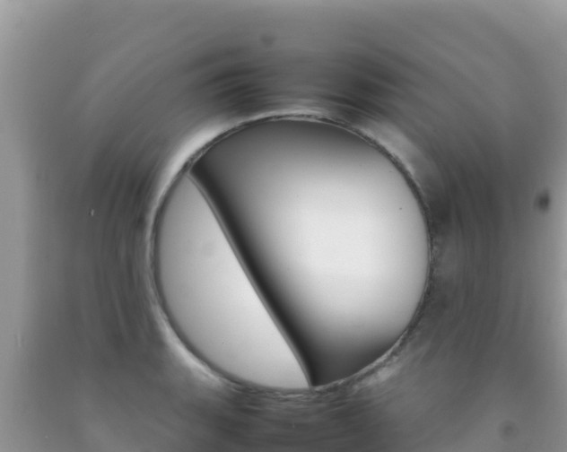 X0000092231135200709140936